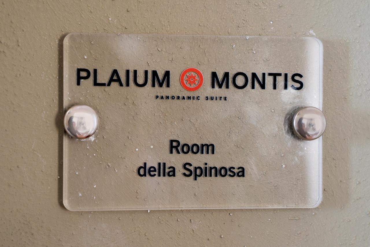 萨莱诺Plaium Montis住宿加早餐旅馆 外观 照片